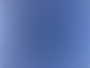 08D96281-9FC1-46CB-BBFB-F0B8FBD2E8E5