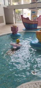 102b4bfd-aa25-48f8-9e83-9a5cf0d80827-1