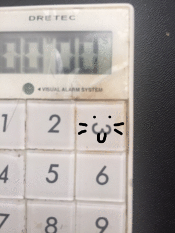 1457852665FuL4qLGWS5XTgUB1457852642