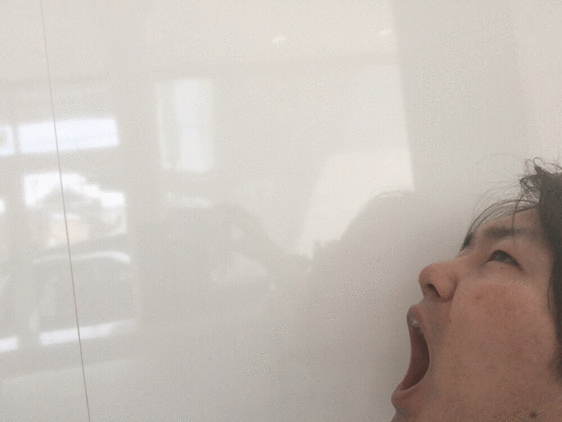 1458268442X6tzynl33LVqpJi1458268432