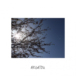 20160415092957-718x718