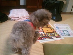 390854_158299210943044_780912200_n