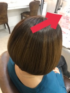 412544DF-0AA0-4EAA-A109-EF54094C6D90