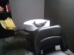 543499_233819410057690_1819868774_n