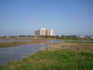 546629_217478668358431_1858057034_n