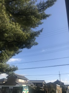 6246F88E-FC49-42F6-9022-4330DE9F4859