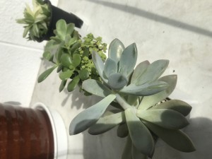 69C7A771-6ED2-4E66-A7DC-E8DE4B52E3AF