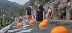 8a8f5050-c7e2-4bf1-8a8e-b3eab937721b-1