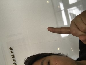 91713CC3-3E6B-46EB-8462-A5CC5E2C8512