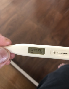 97BA8FF3-2E16-4766-AA16-47096262C1CC