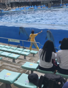 9CA6A47B-6DAA-493D-BBB4-9AE2DF08E4C9