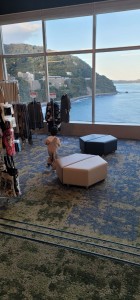 9aabfb5a-d5f0-4afc-8660-1aef50a9bc2d-1