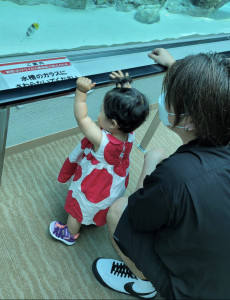 B738C28B-00FE-41AA-B843-53B5F2FDF1A1