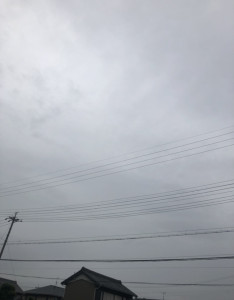 D18E1898-7A8F-4406-B575-35603F749AFB