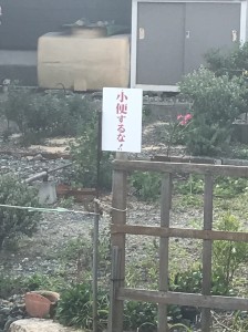 e9bd98de-b773-4d4d-9434-6679ad0498ad-10863-000008f4d9f584c9