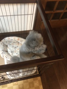 EFF5E726-3D6B-45AB-B52C-90CE716C0269