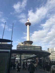 S__128385057-225x300