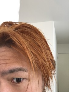 S__134529031-226x300