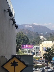 S__147546145-225x300