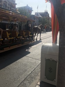 S__154566674-225x300