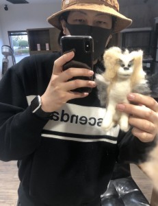 S__234537721-231x300