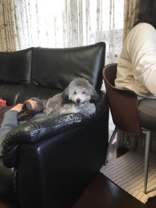 s__80764960-%e3%82%b3%e3%83%94%e3%83%bc