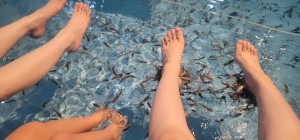 b56479ee-e25e-479b-809a-9e8e92de4291-1