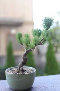 o0480072013090392869